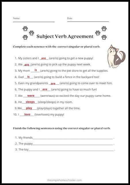 correcting subject verb agreement errors worksheet