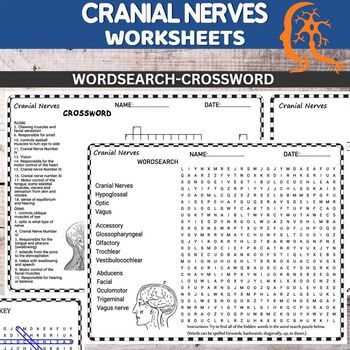 cranial nerves worksheet