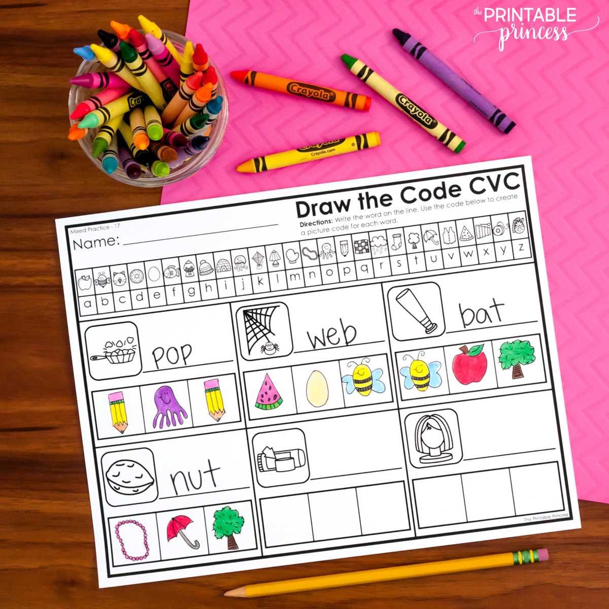 cve worksheets