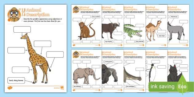 describe animals worksheets