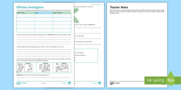 diffusion worksheet diffusion worksheet