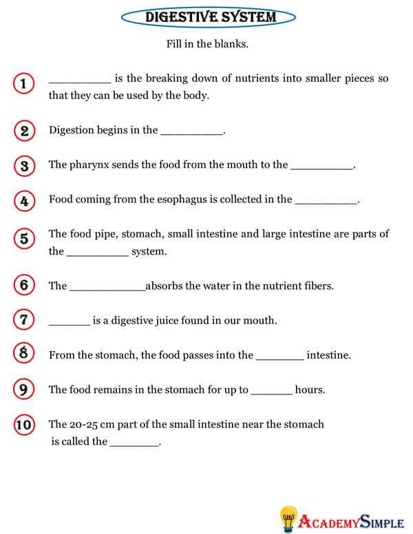 digestion worksheet
