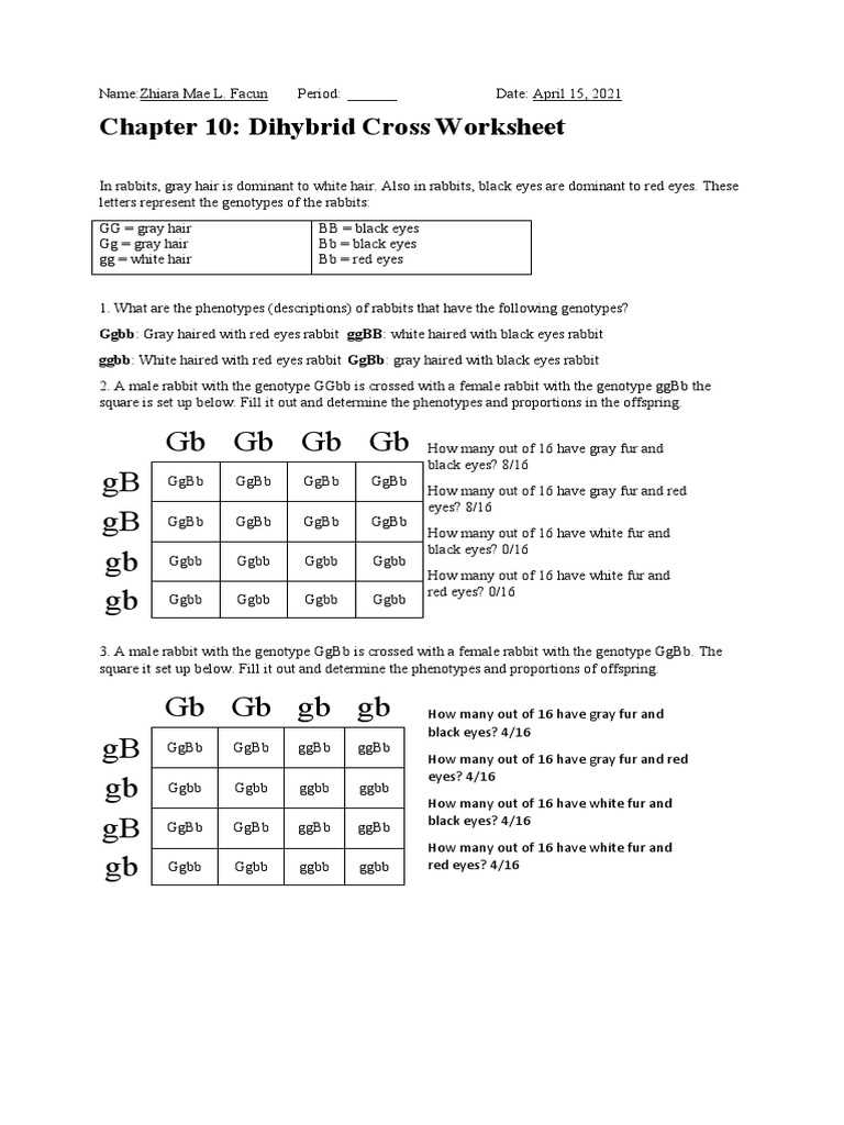 dihybrid cross rabbit worksheet