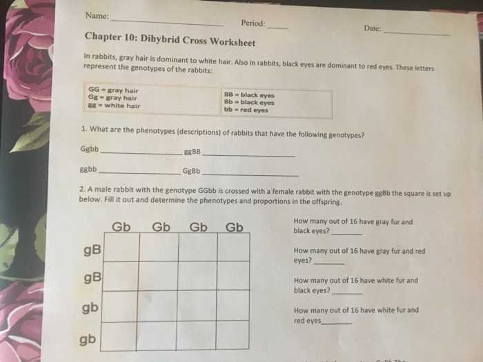 dihybrid crosses worksheet