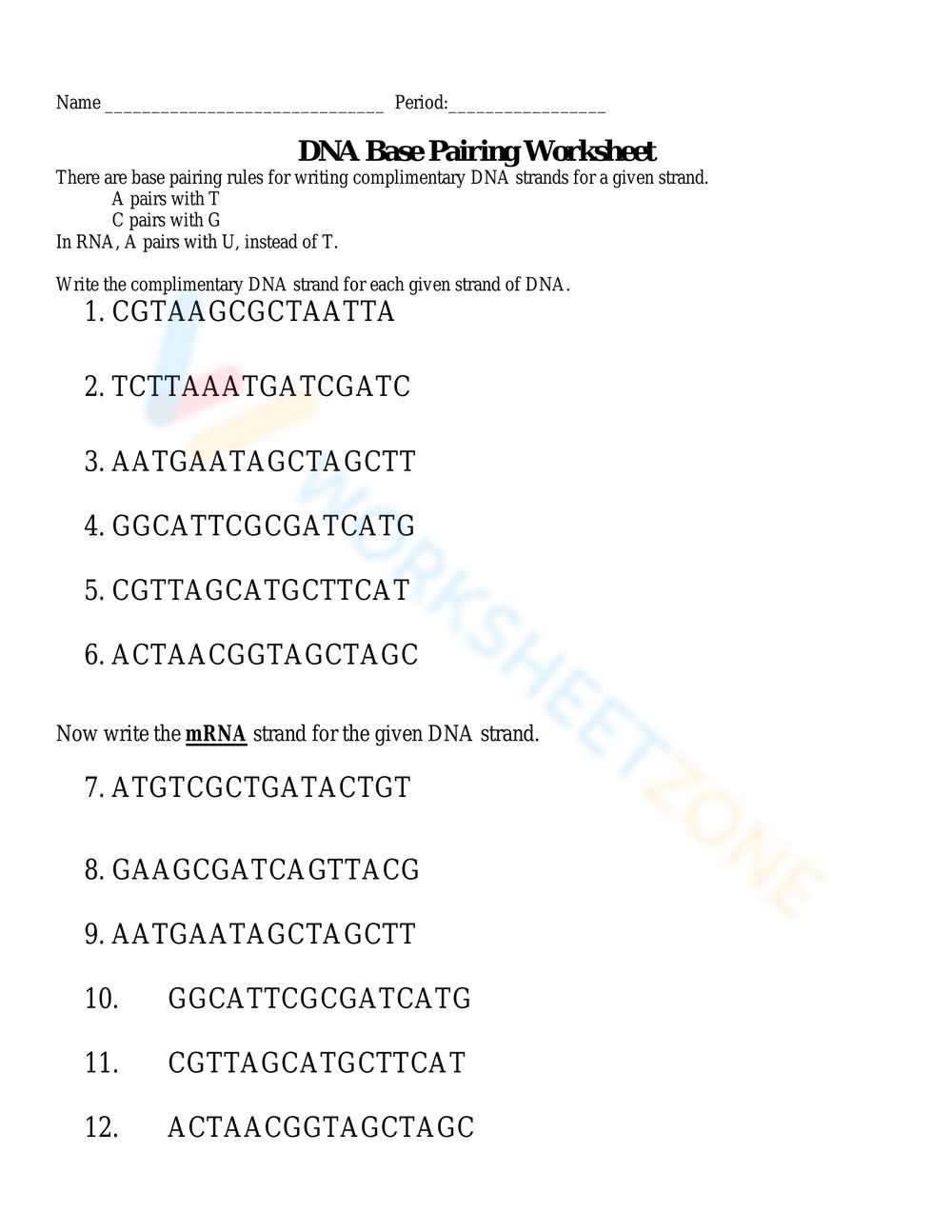 dna base pairing worksheet