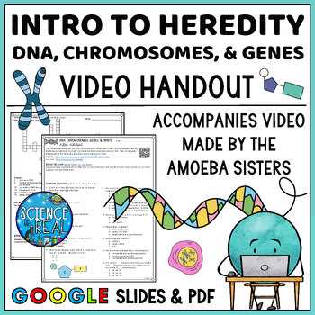 dna heredity worksheet
