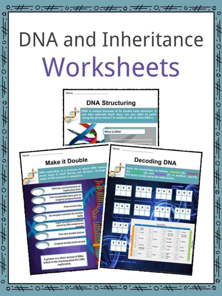 dna problems worksheet