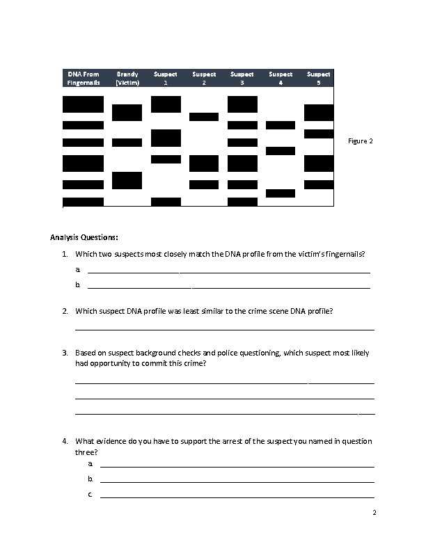 dna profiling using strs worksheet