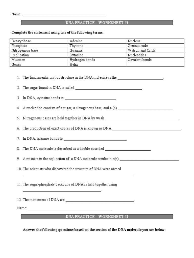 dna test review worksheet