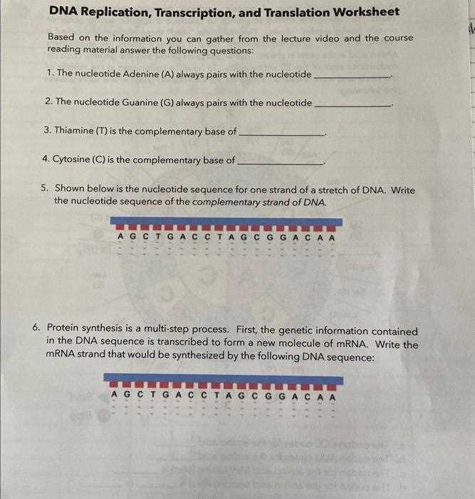 dna transcription and translation worksheet
