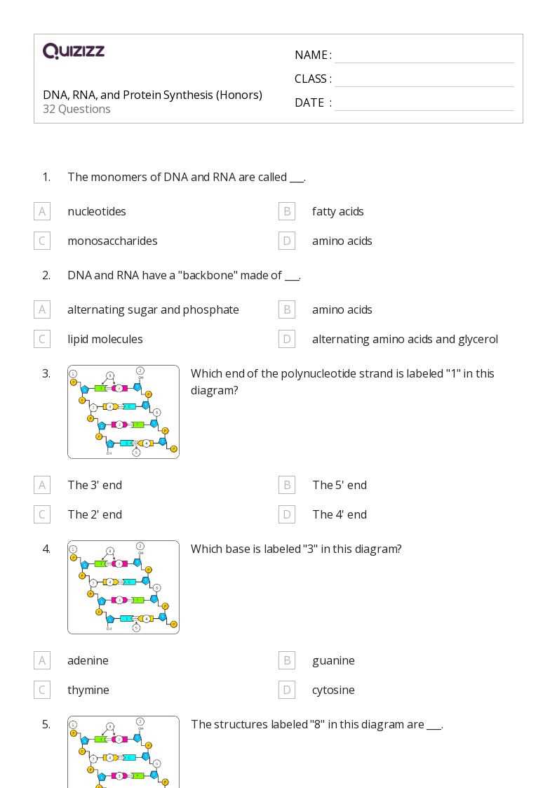 dna vs rna and protein synthesis worksheet
