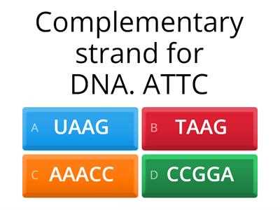 dna vs rna and protein synthesis worksheet