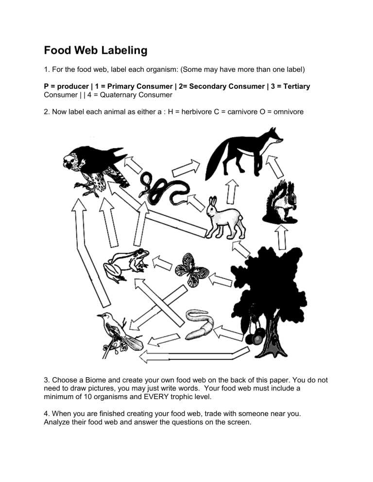 draw a food web worksheet
