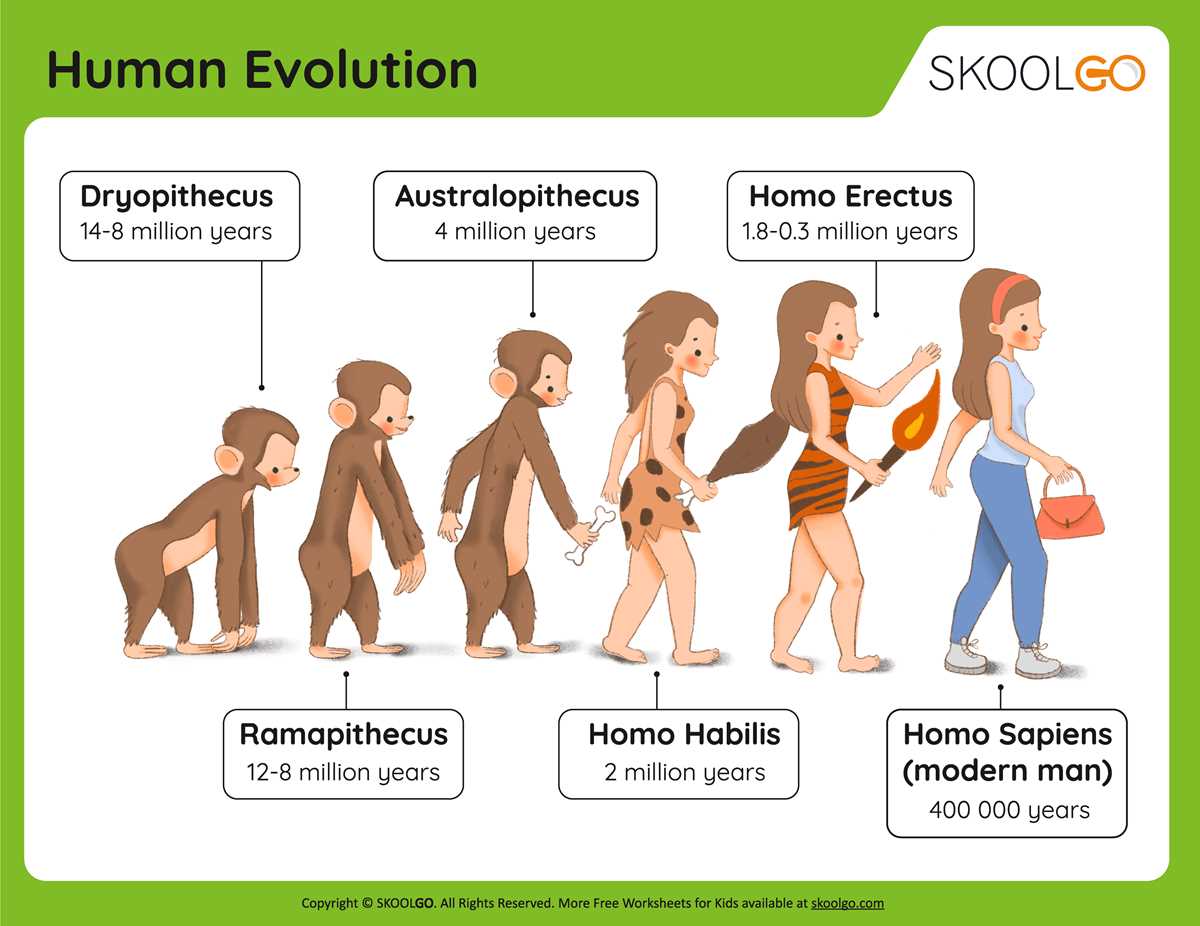 early man worksheets