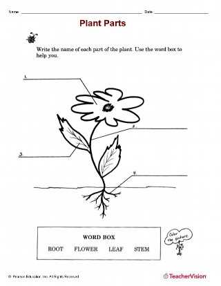 earth science worksheets elementary