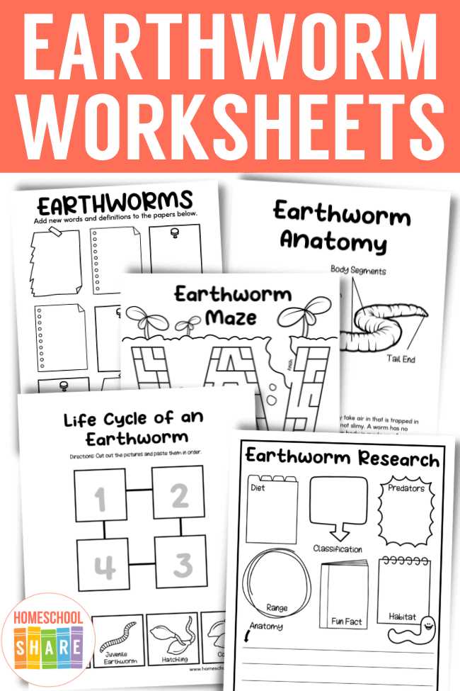 earthworm anatomy worksheet