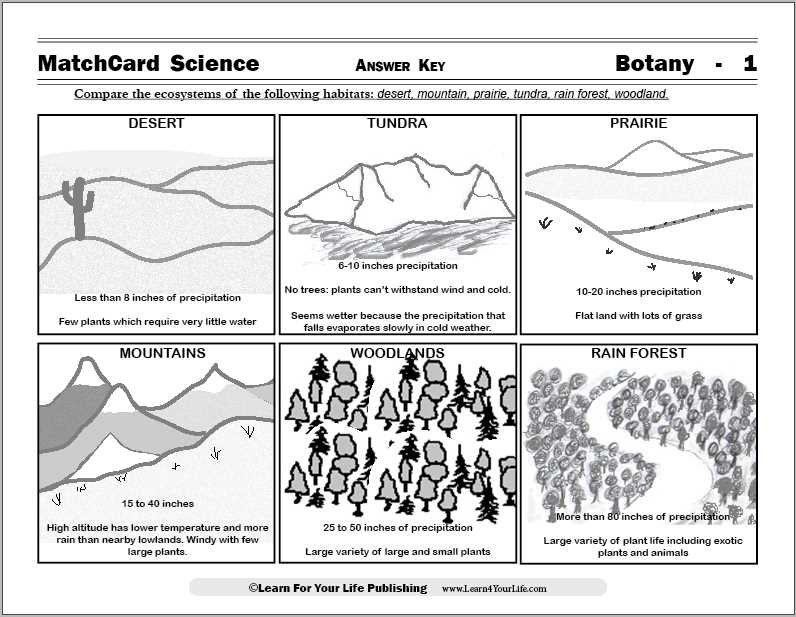 ecosystem worksheet grade 7
