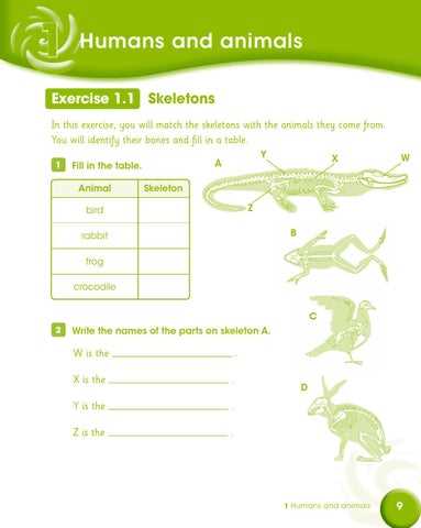 education com science worksheets