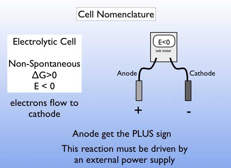 electrolytic cell worksheet