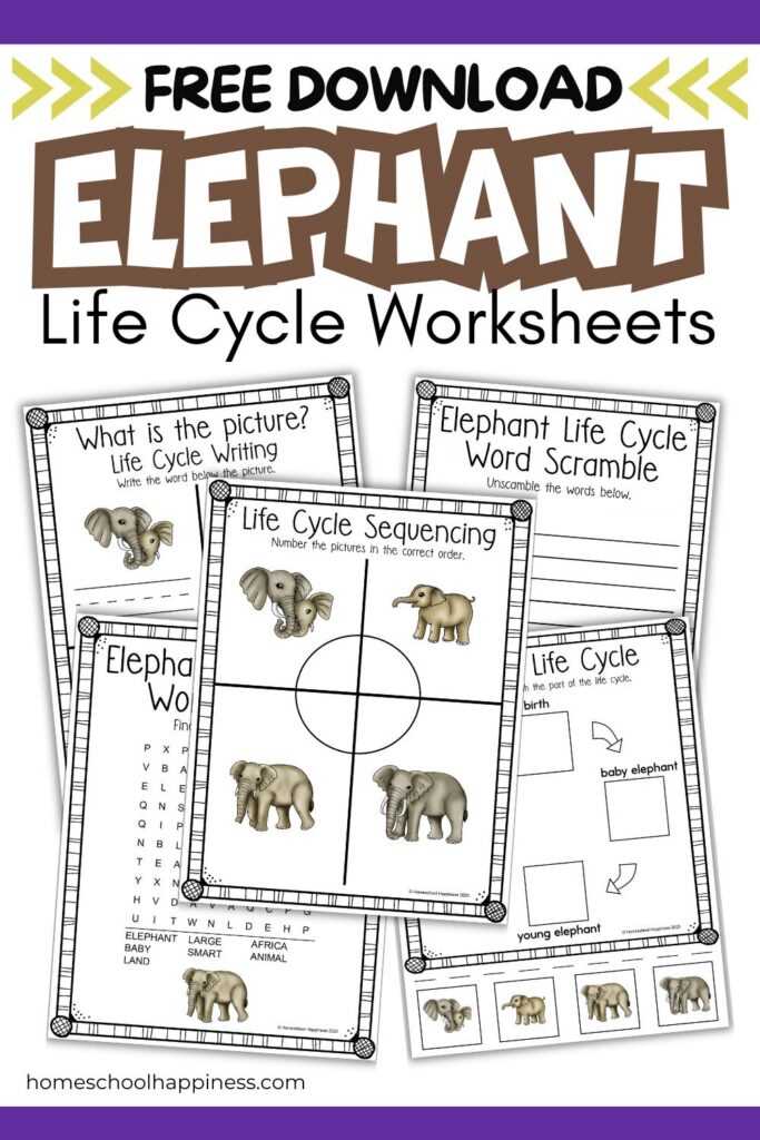 elephants worksheets elephants worksheets