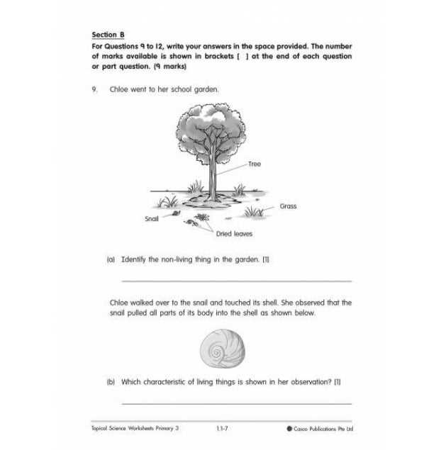 end of year science worksheets