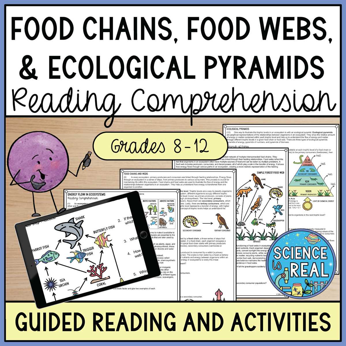energy pyramids worksheet