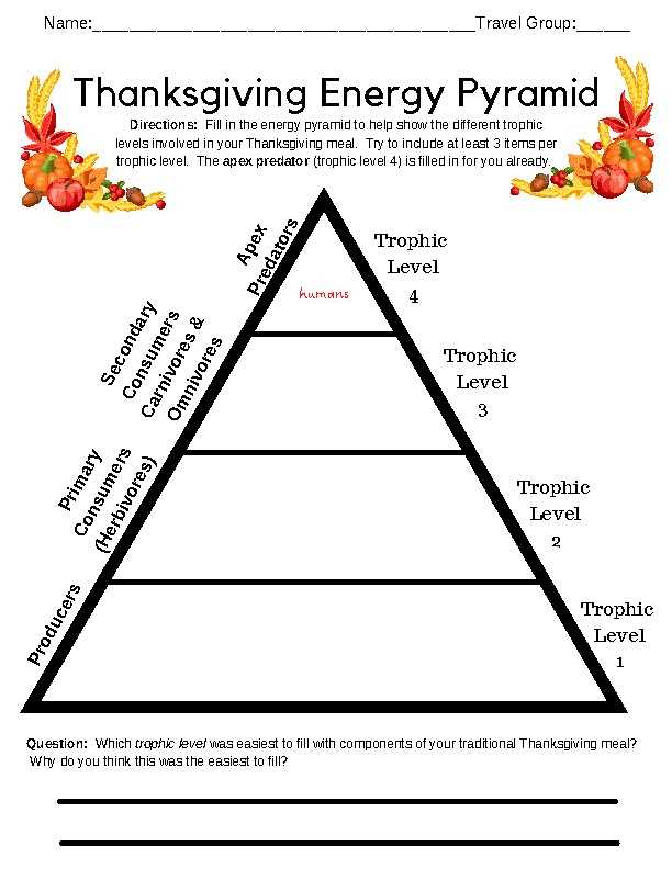 energy roles worksheet