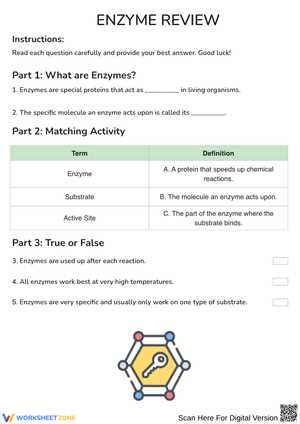 enzyme basics worksheet