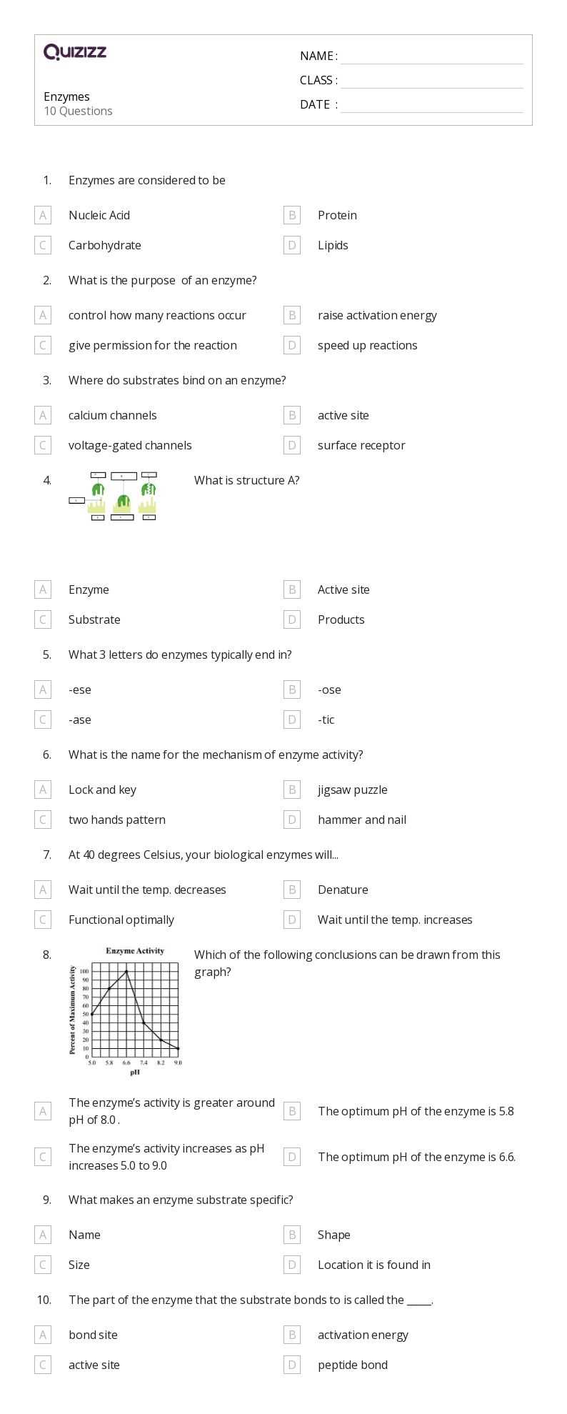 enzymes worksheet
