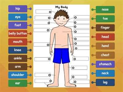 esl parts of the body worksheet