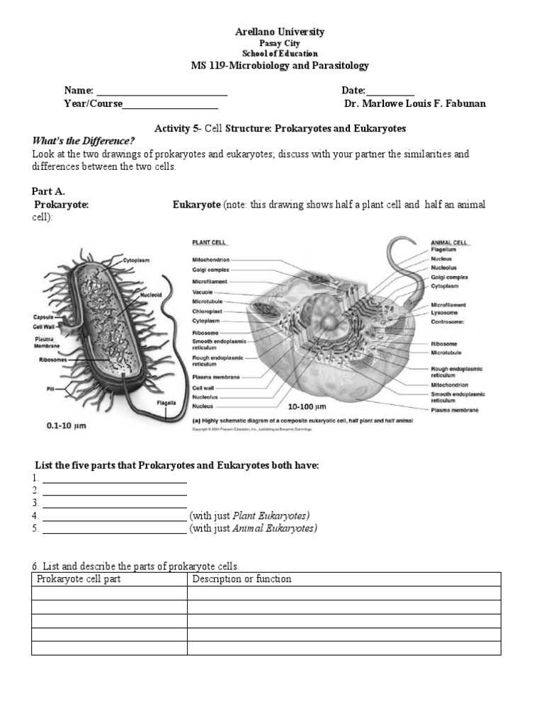 eukaryotic vs prokaryotic cells worksheet