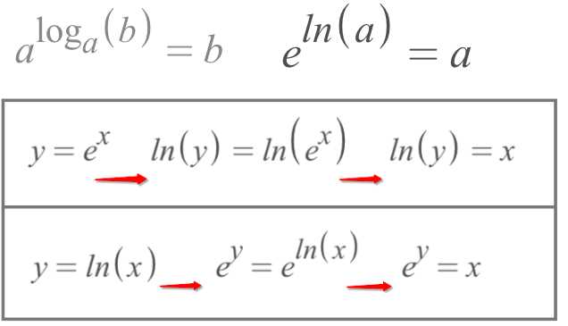 eulers number and natural logs worksheet