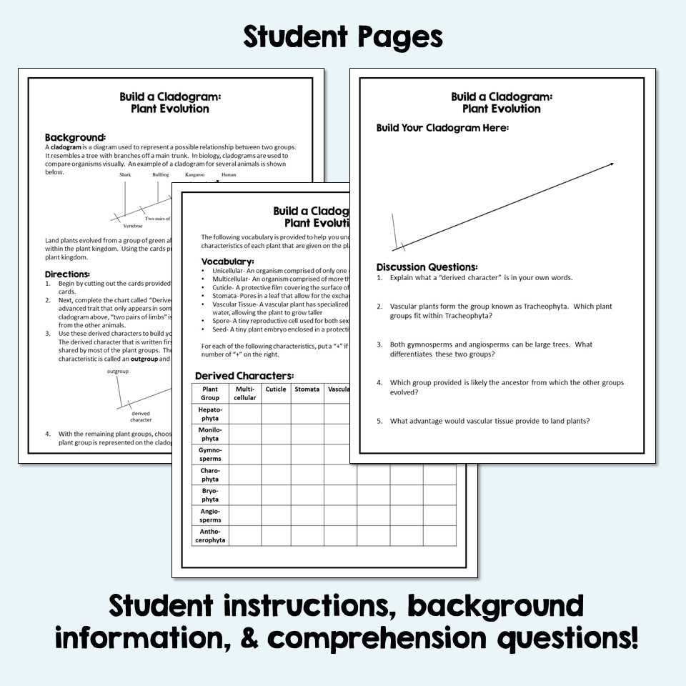 evolution cladogram worksheet
