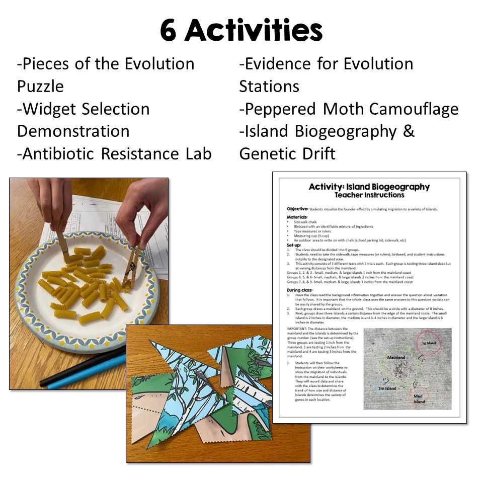 evolution puzzle worksheet