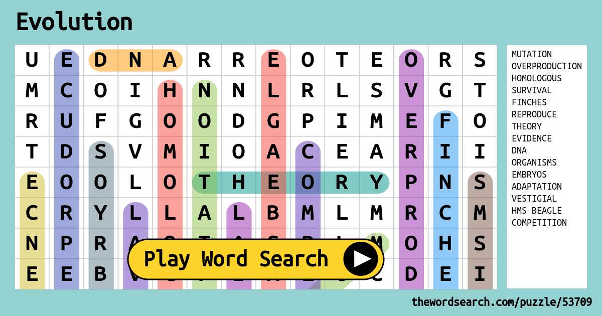 evolution puzzle worksheet