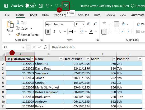 excel worksheet data entry form
