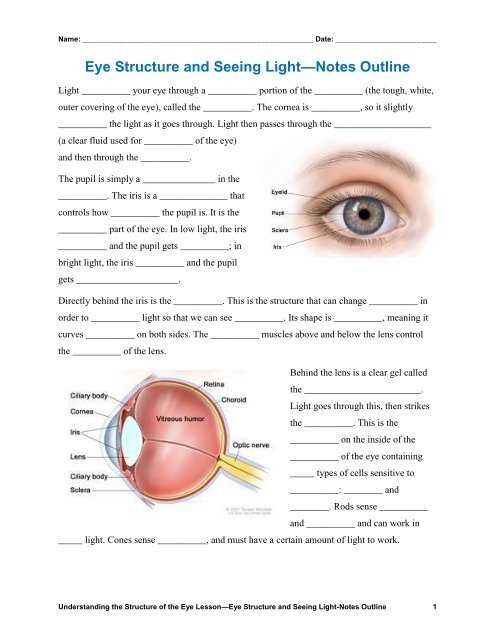 eye parts and functions worksheet eye parts and functions worksheet
