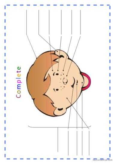 face vocabulary worksheet