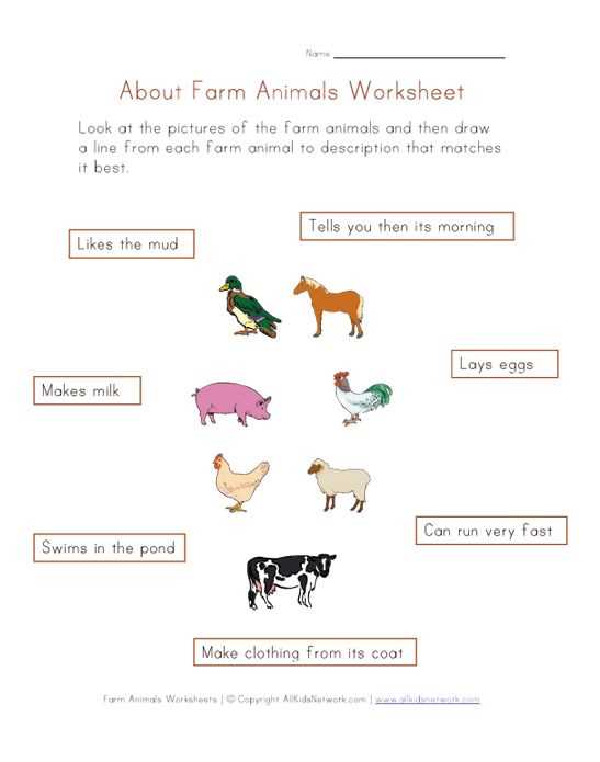 farm animals and their uses worksheets
