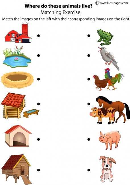 farm animals and their uses worksheets