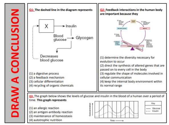 feedback mechanism worksheet