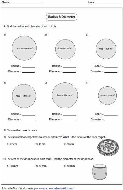 find circumference worksheet