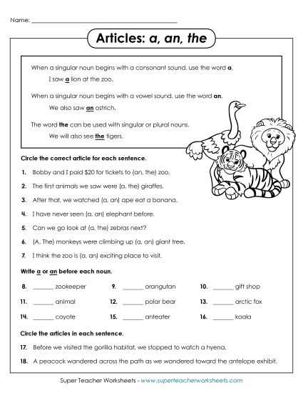 find the adjectives in the paragraph worksheet