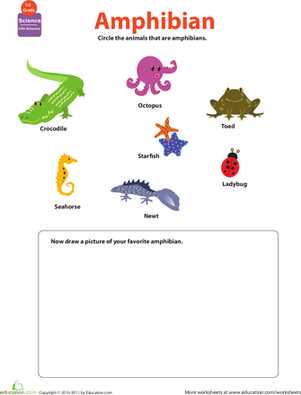 first grade science worksheets