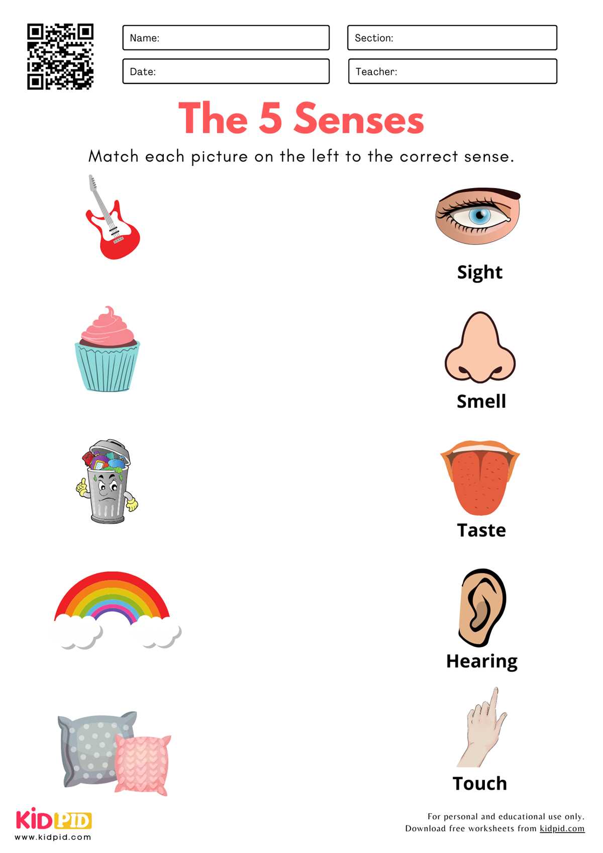five senses worksheet for kindergarten