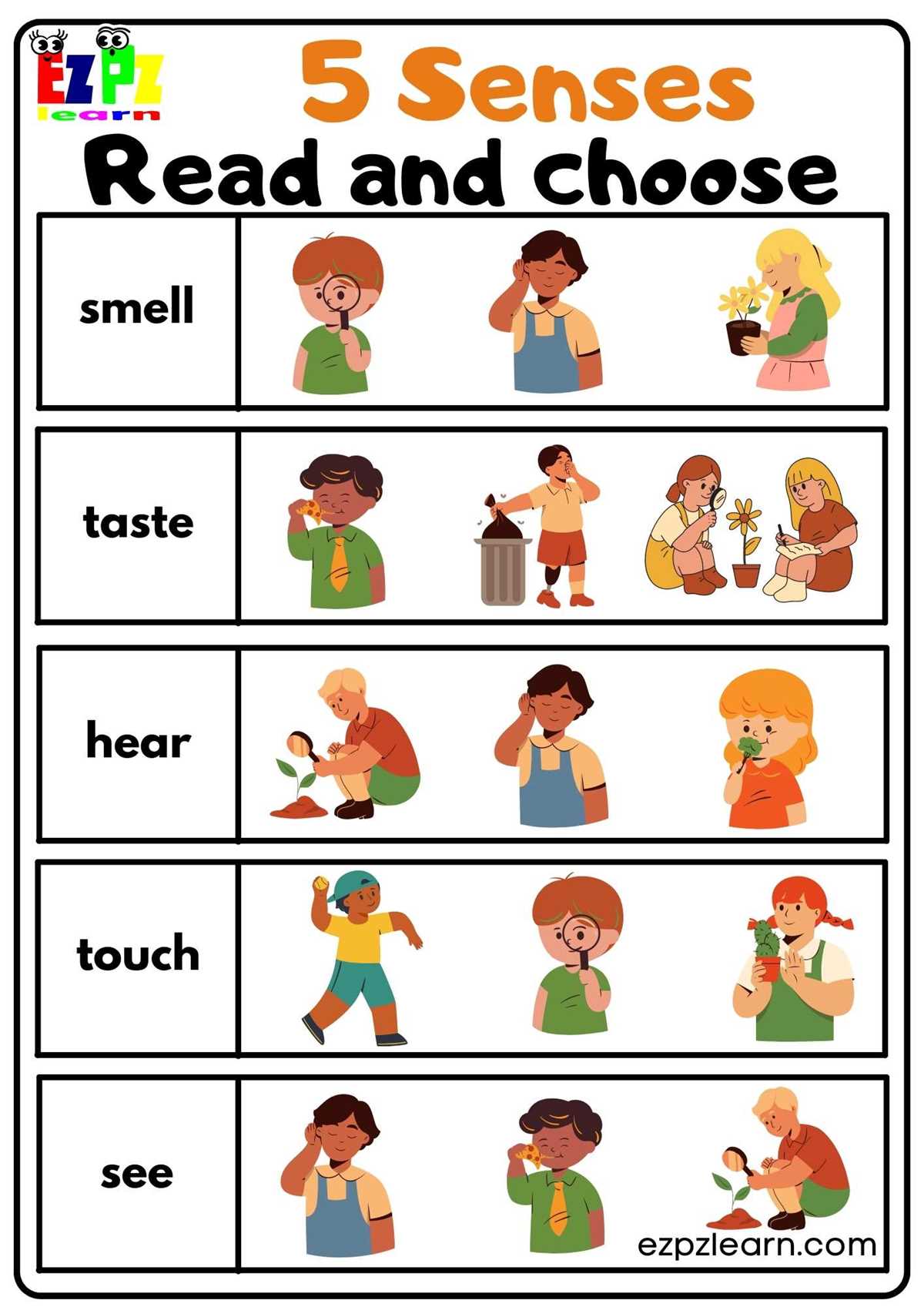 five senses worksheet for kindergarten