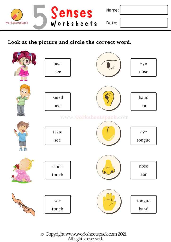 five senses worksheet for preschoolers