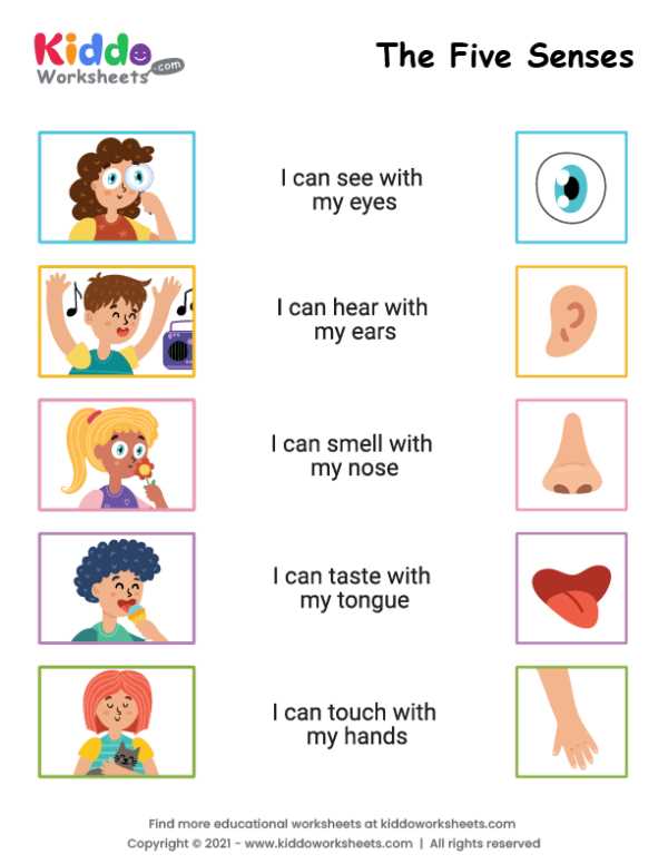 five senses worksheet preschool