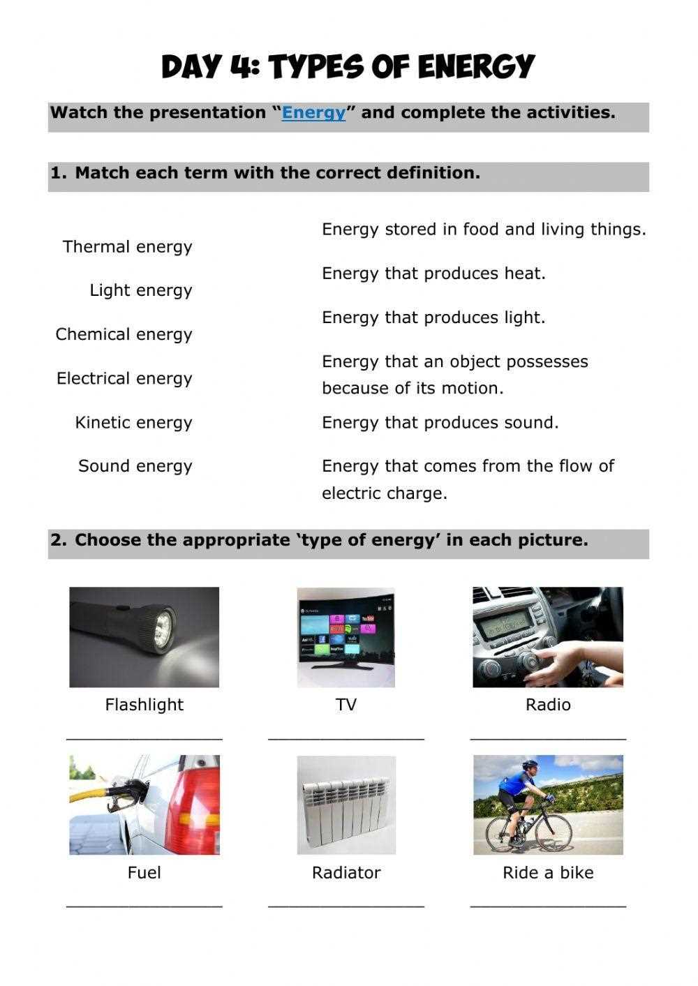 flow of matter and energy worksheet