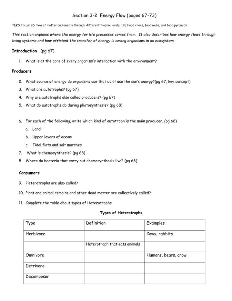 flow of matter and energy worksheet
